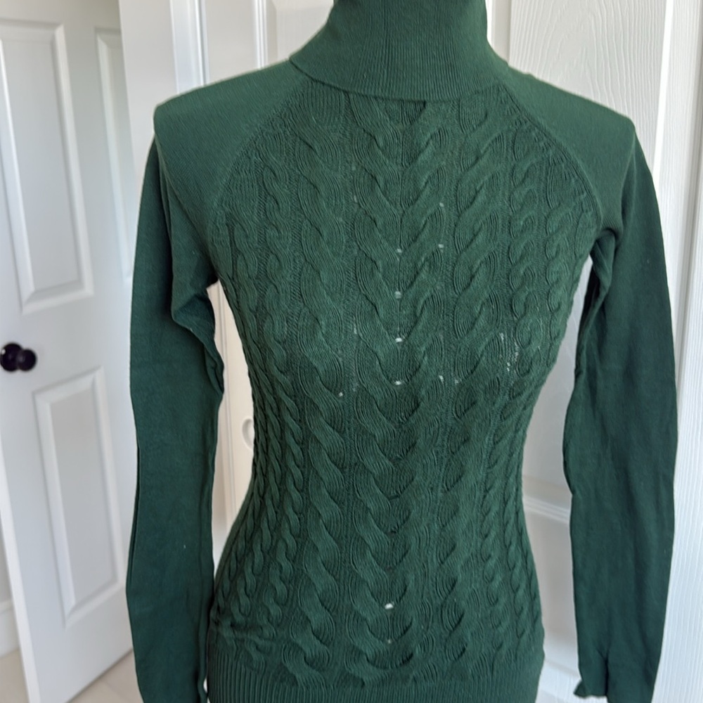 Arden B Green Turtleneck Sweater with Cable Knit Design